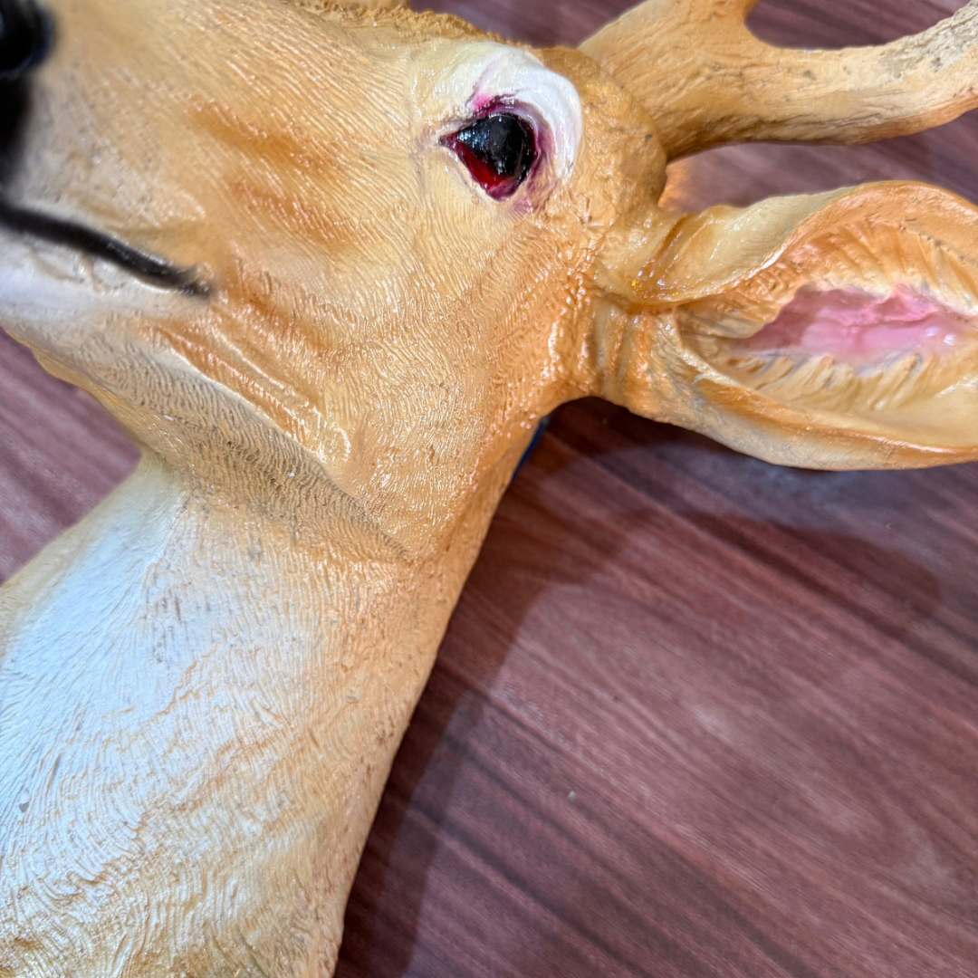 Premium Resin Deer Head Wall Decor