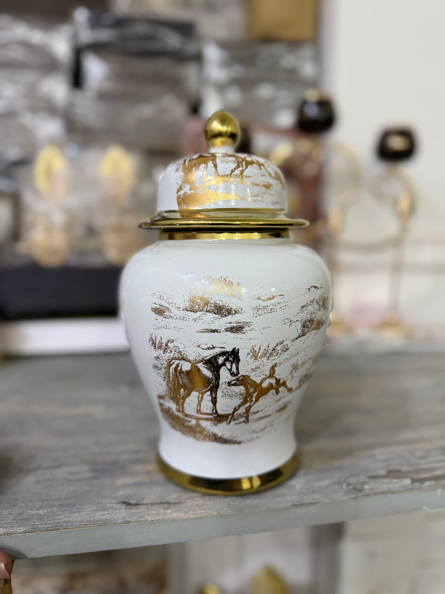 Premium Candy Jar with Printed Horses Design